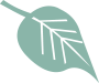 teal-leaf-icon