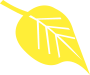 yellow-leaf-icon